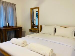 Deluxe Room view 5