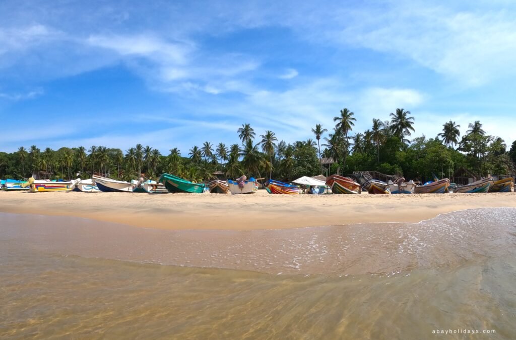 Surf session in Arugam Bay, Sri Lanka