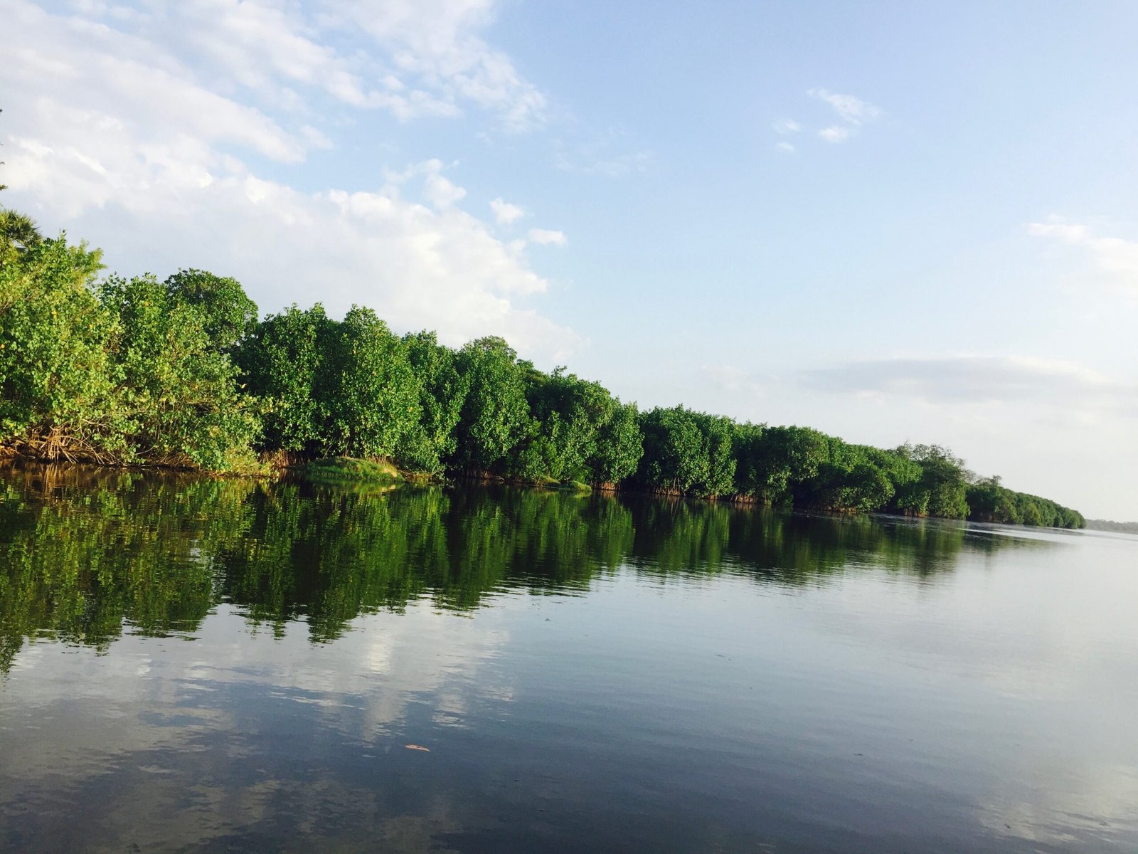 Pottuvil Lagoon Safari