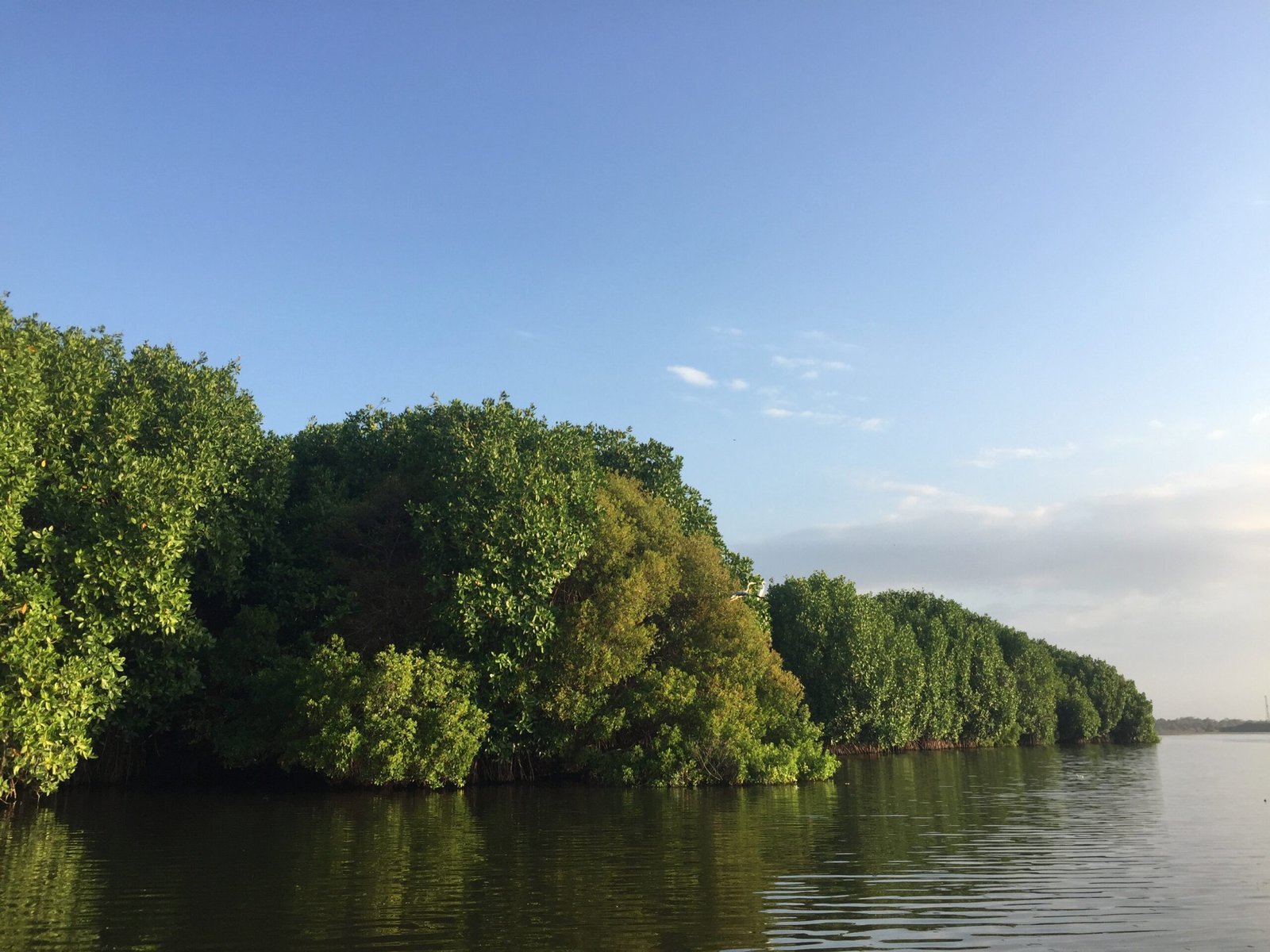 Pottuvil Lagoon Safari