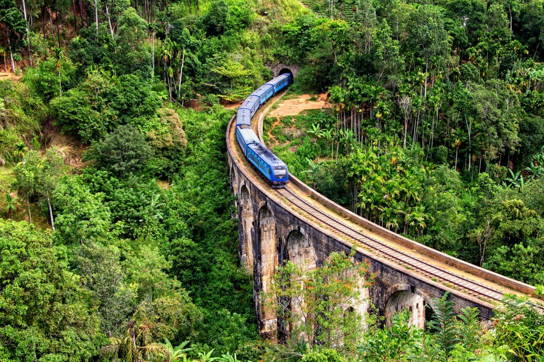 Blue train crossing Nine Arch Bridge in Ella, Sri Lanka