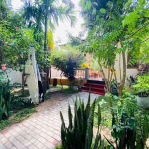 Serenity Surf House garden in Arugam Bay