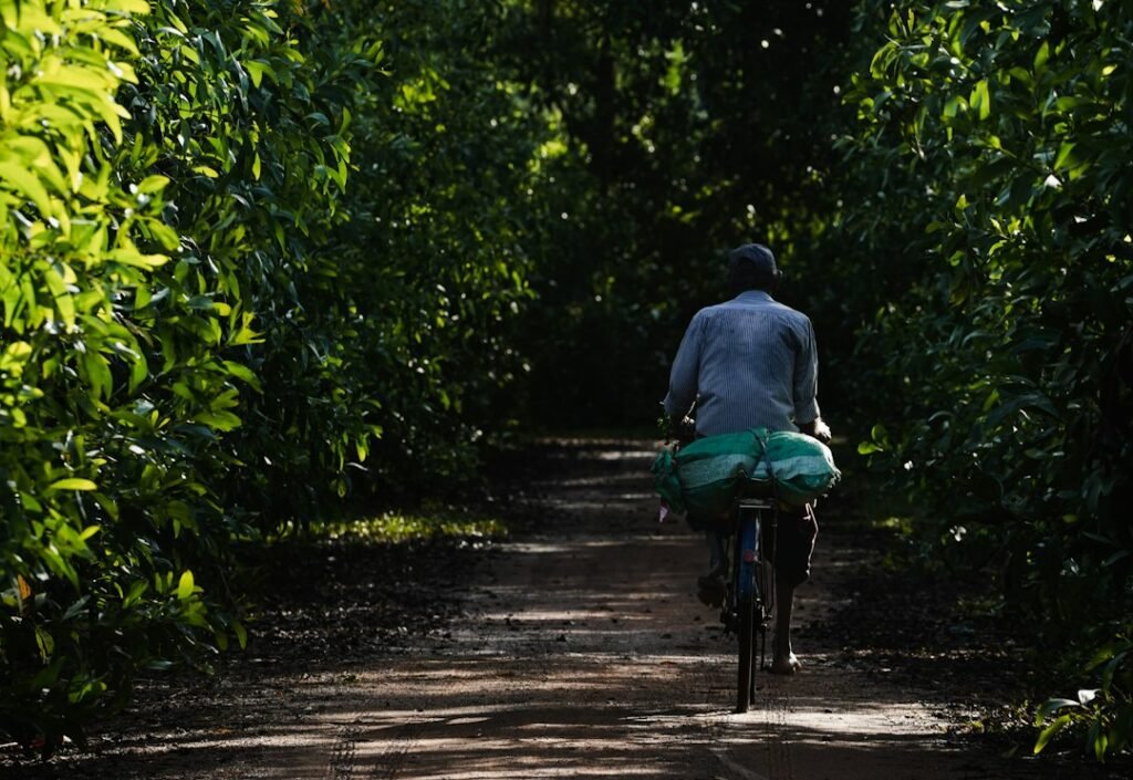 Cycling through a tropical Sri Lankan village